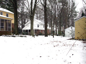 backyard2.jpg
